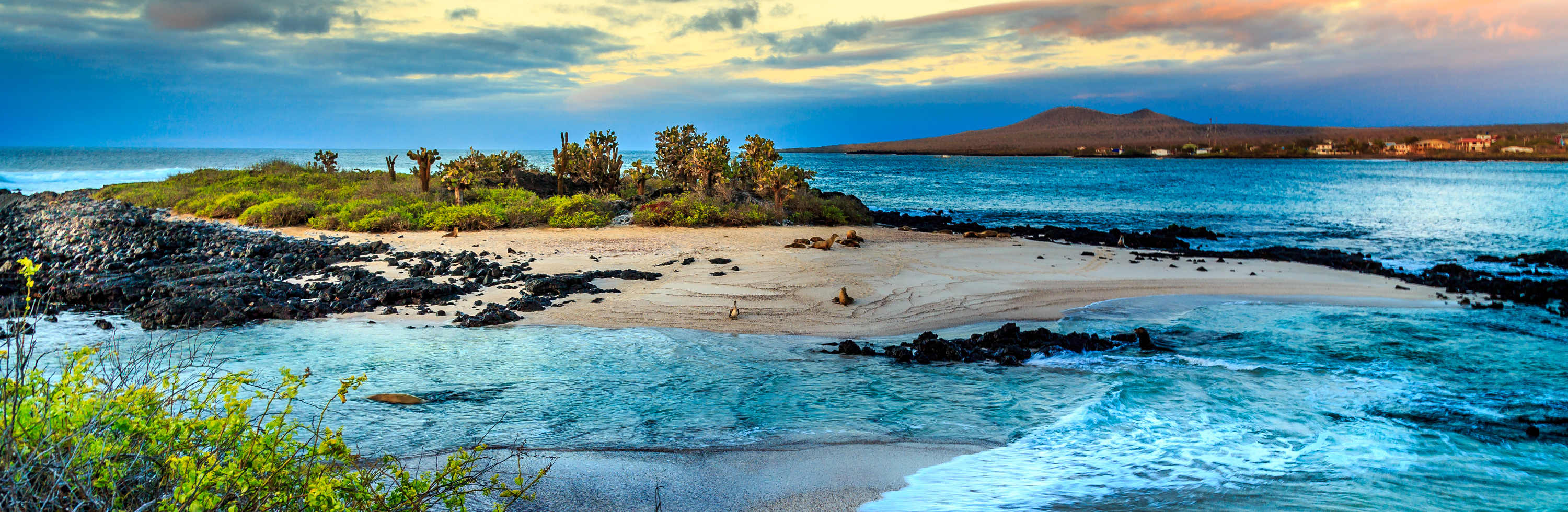 BGYB Destination : Suggestion d'Itinéraire de Croisière aux Galápagos
