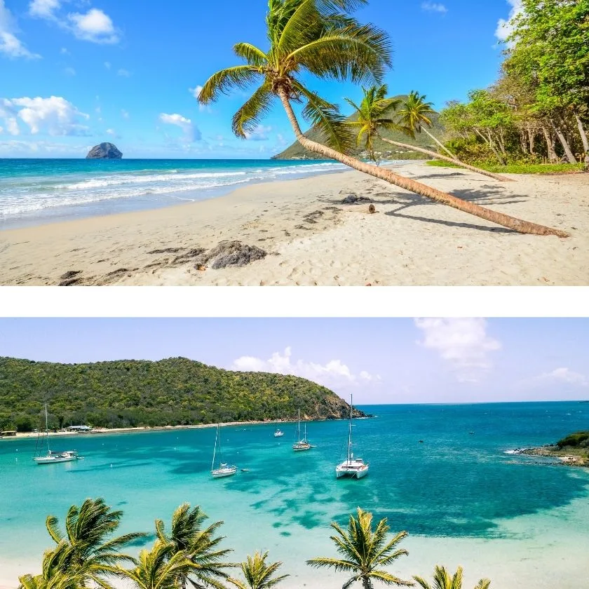 CARAÏBES : Nos Voiliers Disponibles cet Hiver