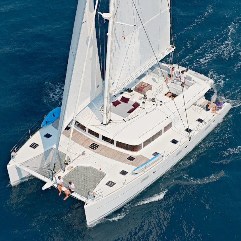 CROCODILE DADDY : Offre Spéciale de Dernière Minute