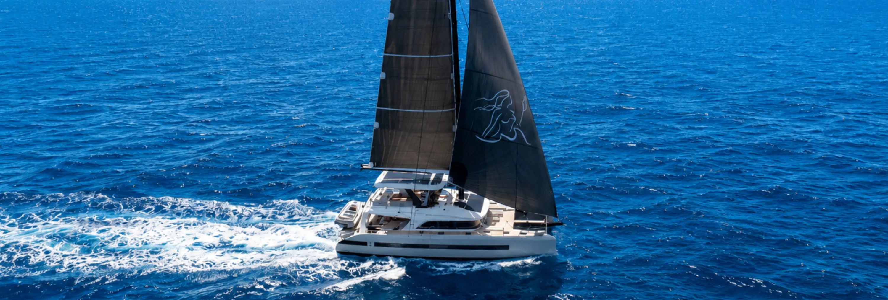 LADY ROSÉ : Location Catamaran aux Caraïbes Début 2027