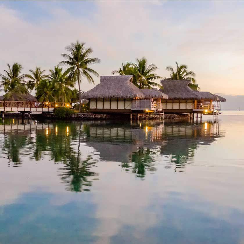 NOMAD IV: Disponibilité Charter
