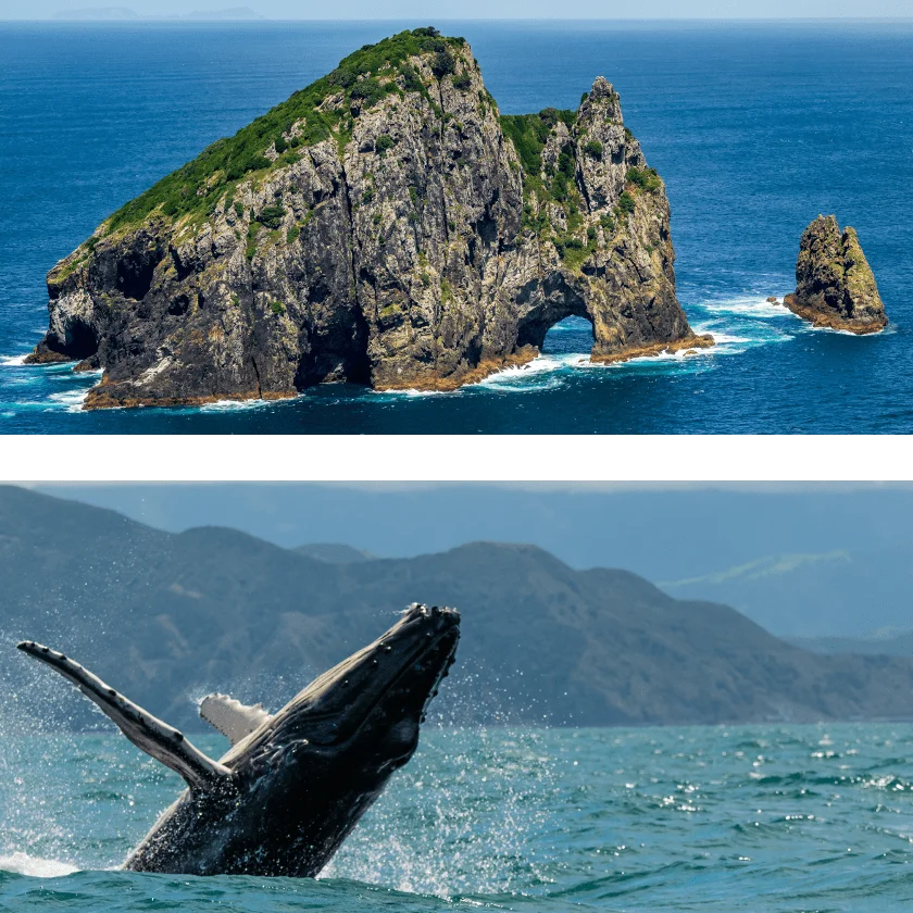 Nouvelle-Zélande : Nouvel Itinéraire