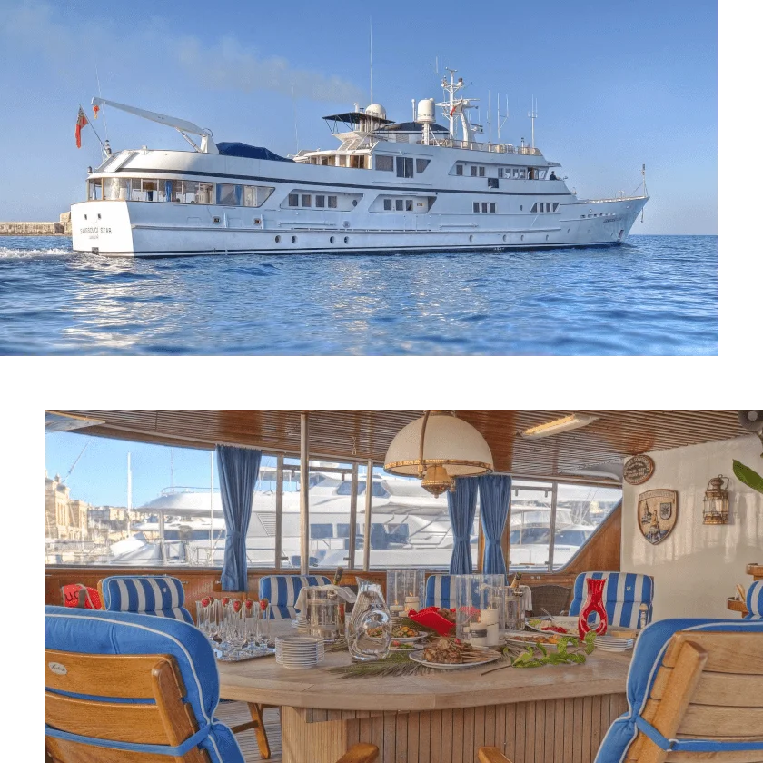 SANSSOUCI STAR : Nouvelle localisation