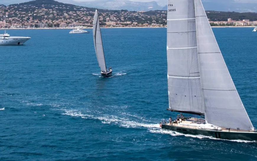 SHAMLOR: Disponibilité 2021