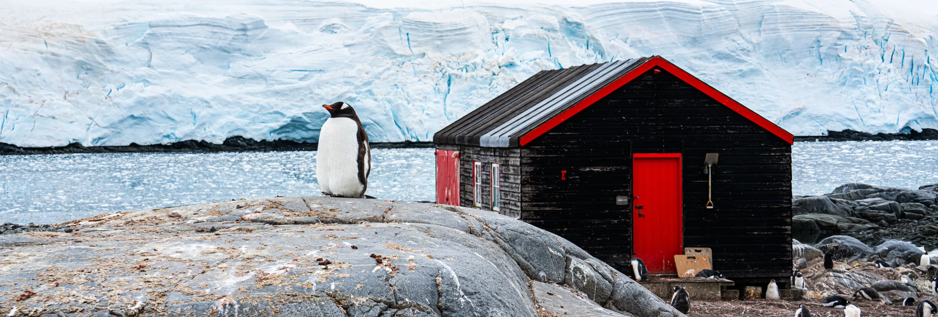 SHERAKHAN : Noël et Nouvel An en Antarctique