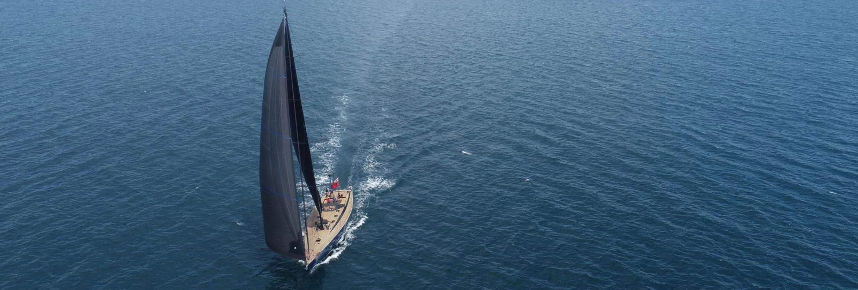 WALLY ONE : Nouvelle Vidéo