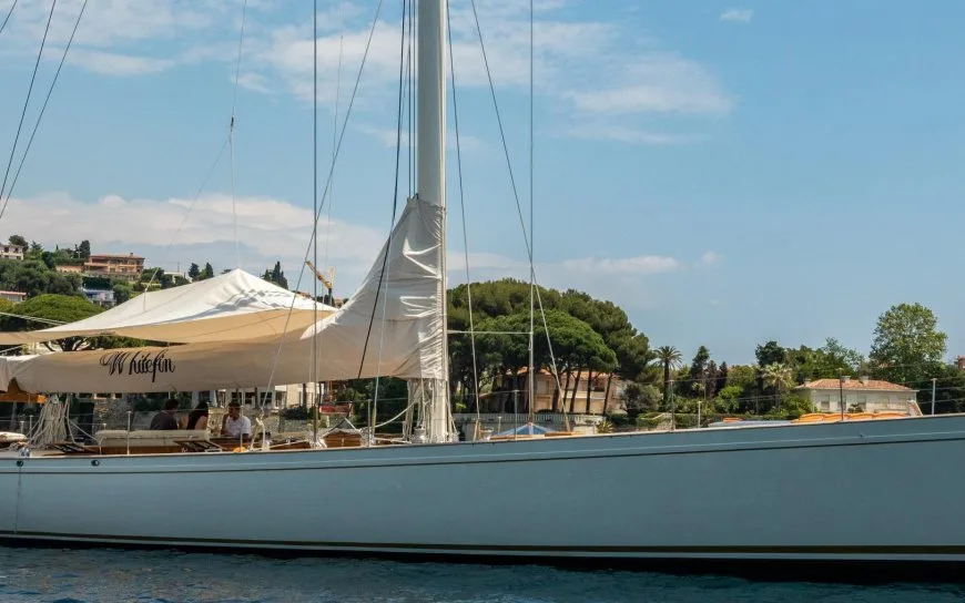 WHITEFIN : Dernières Disponibilités