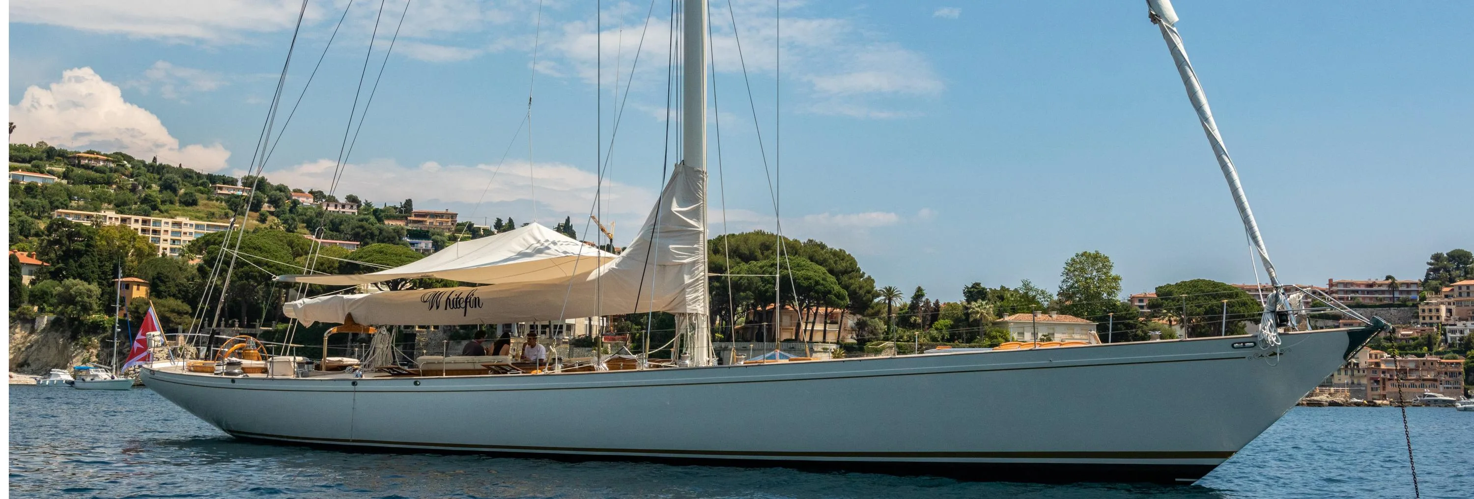 WHITEFIN : Dernières Disponibilités