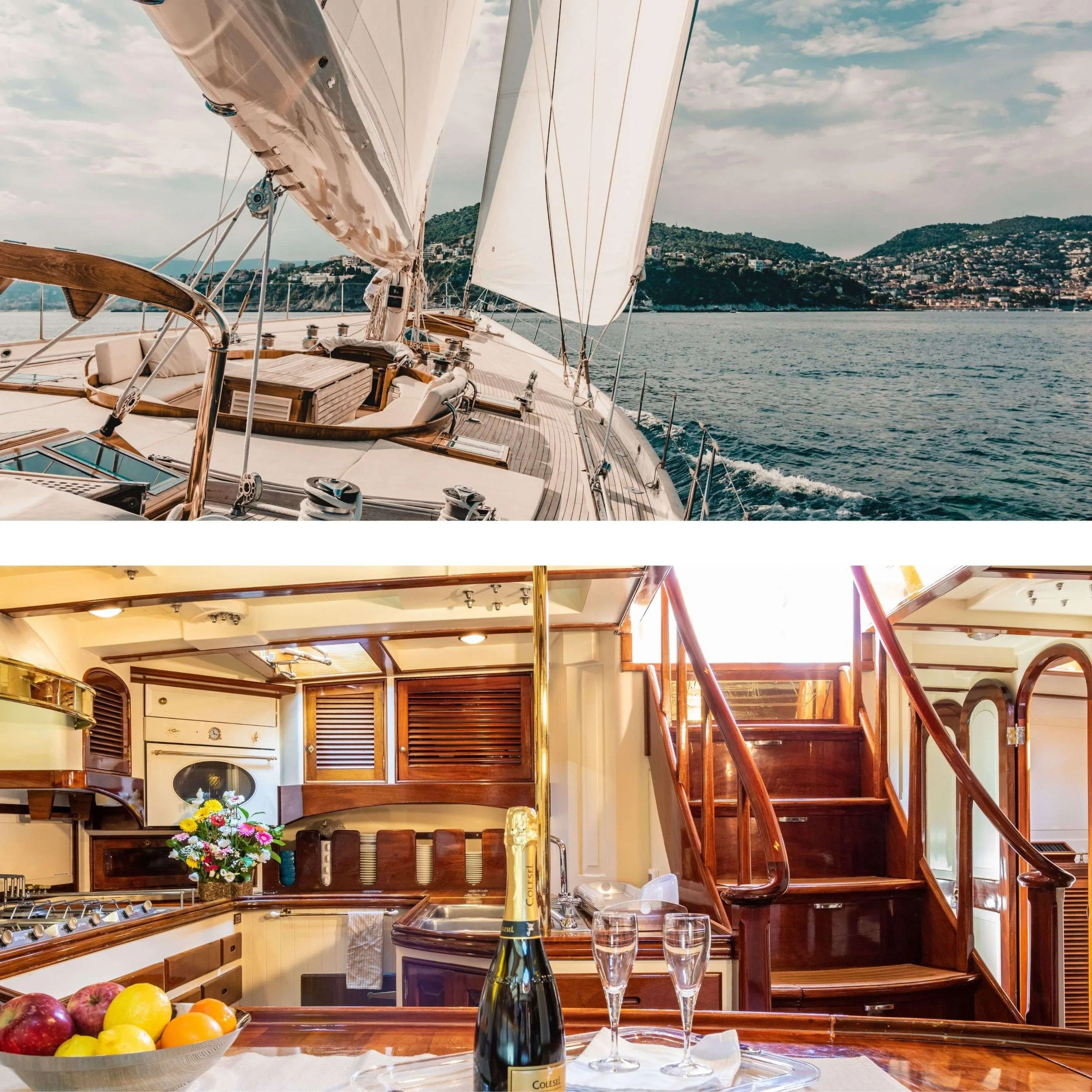 WHITEFIN : Dernières Disponibilités