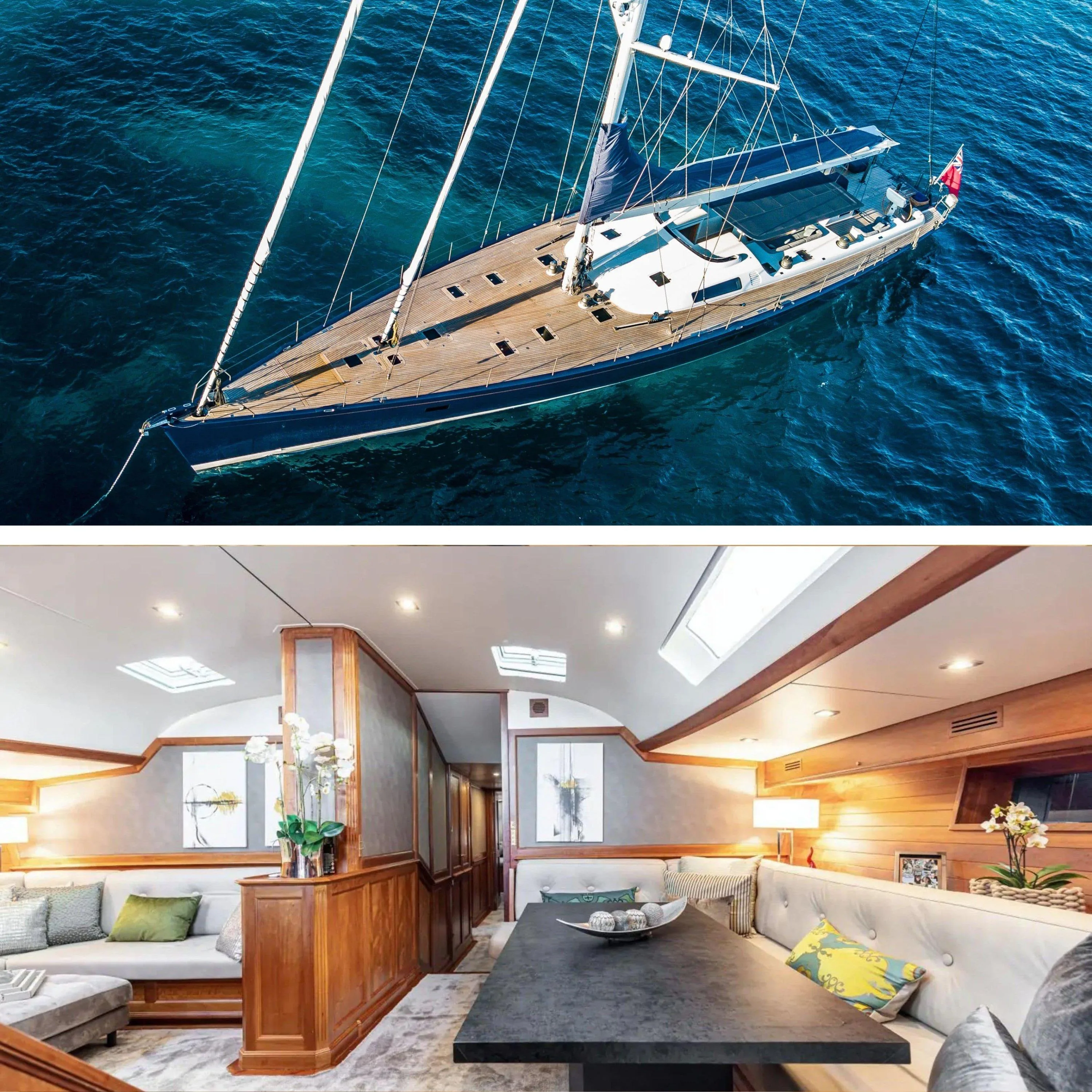 FANCY : Performance et confort réunis