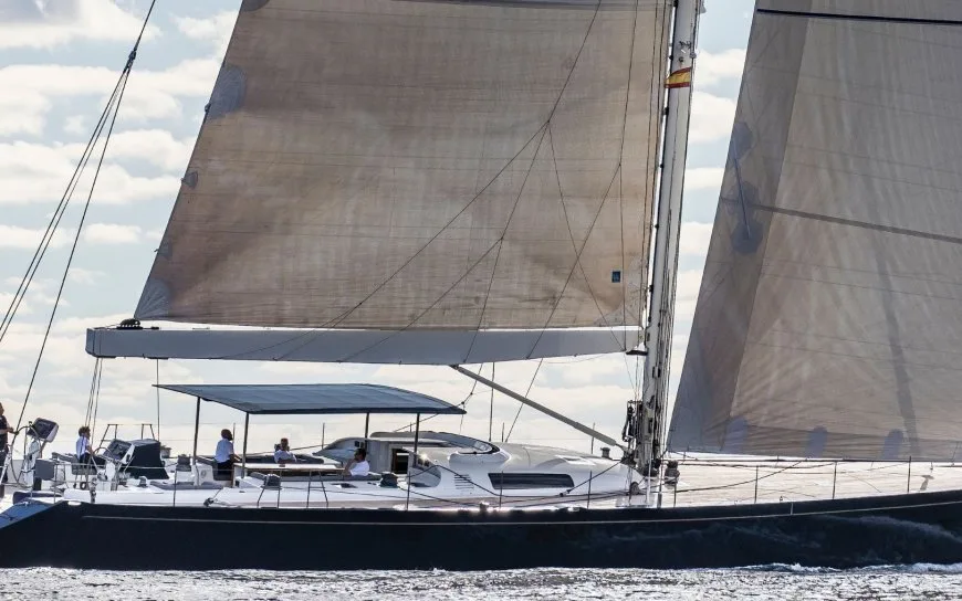 FANCY : Performance et confort réunis