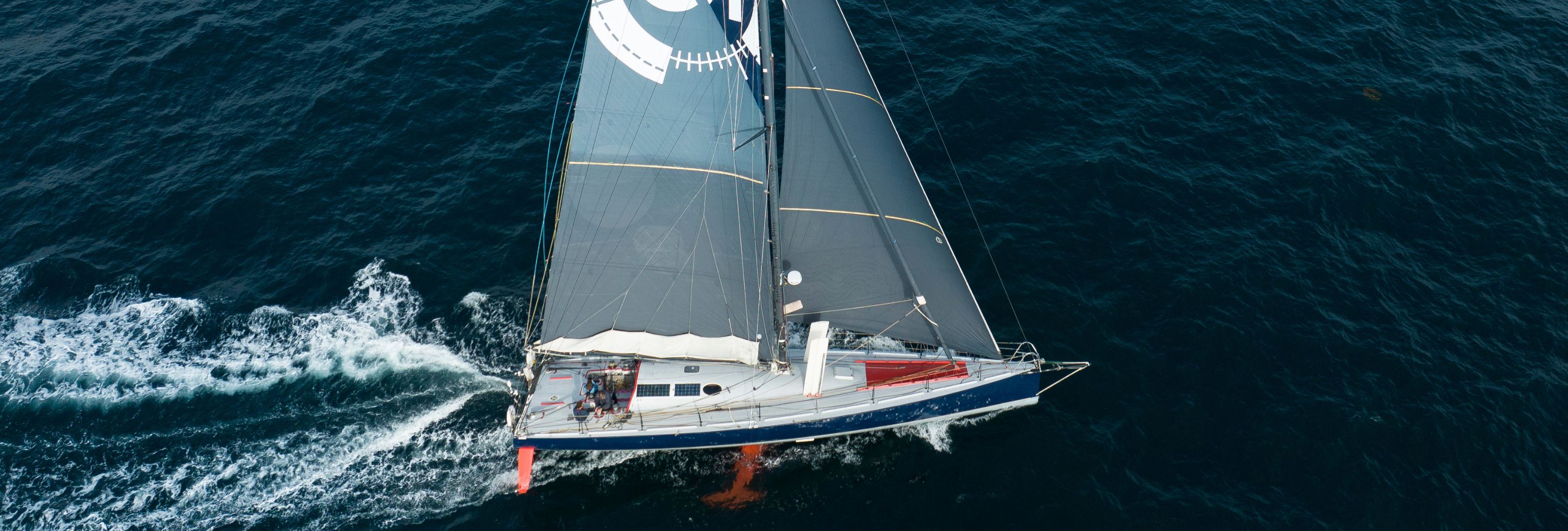 LE PINGOUIN: Nouveau bateau à la vente !