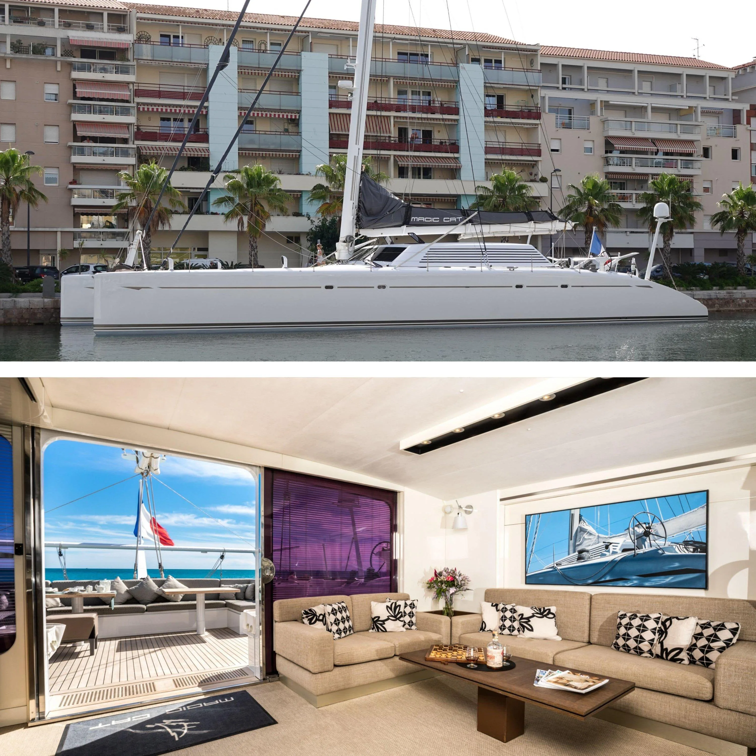 MAGIC CAT : Baisse de Prix 