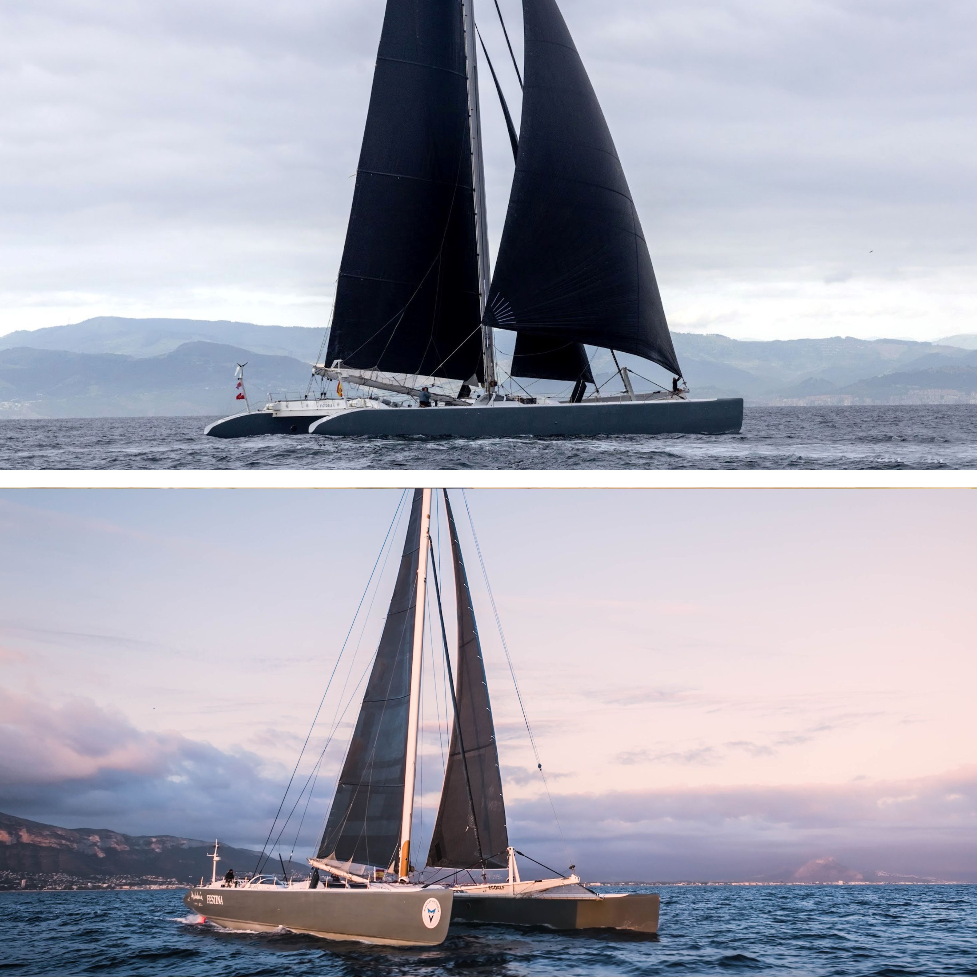 MAXICAT VICTORIA : Le Maxi Catamaran à Prix Réduit