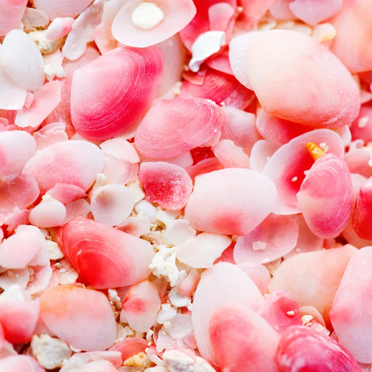 Barbuda, le Paradis oublié