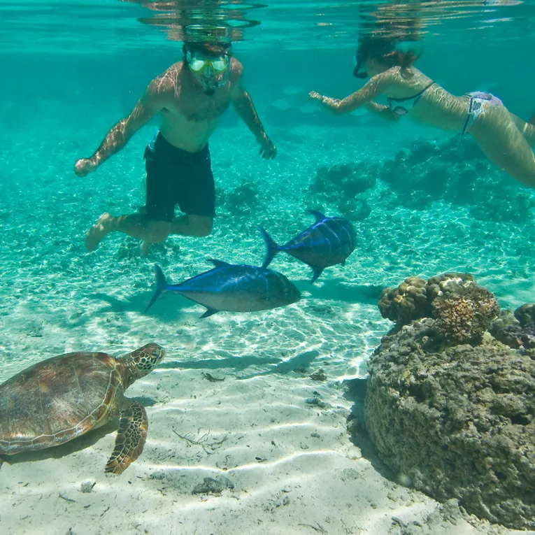 Les Sports Nautiques