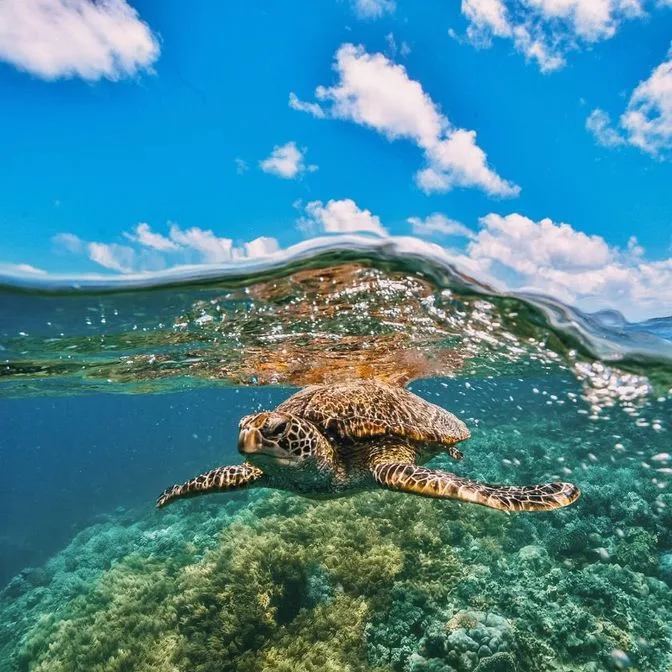 Plage de Whitehaven / plage de Chalkie