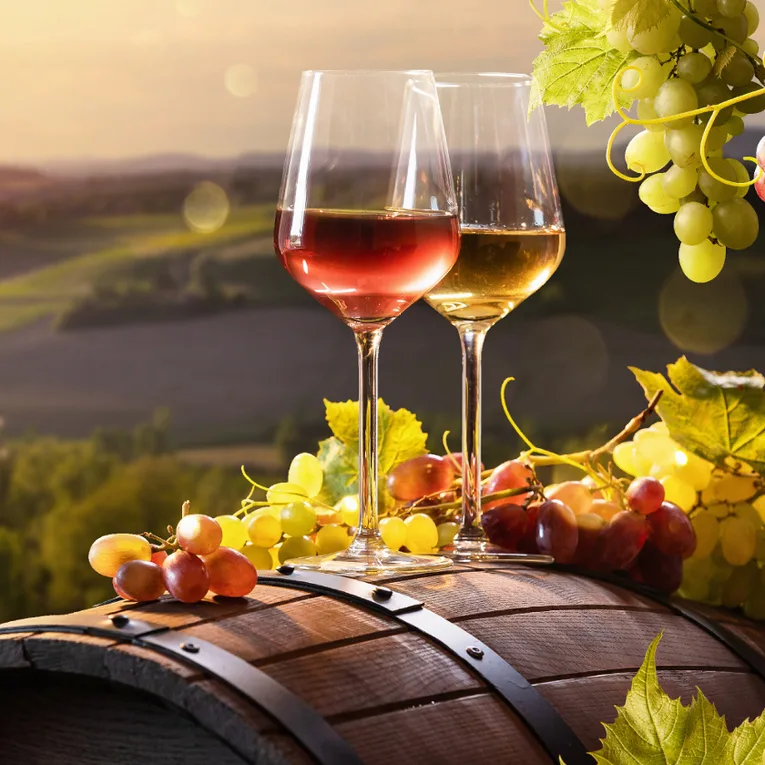 Gastronomie et Viticulture Toscane