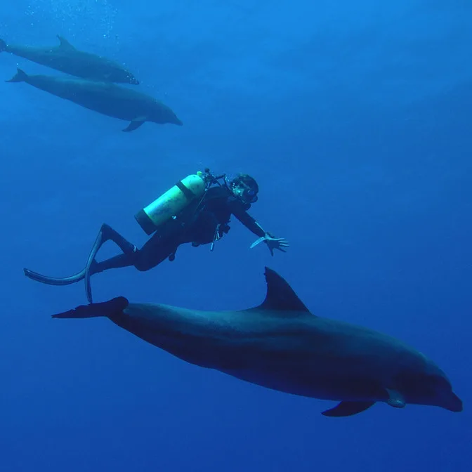 Île de Tahaa : la Vallée de Vanille