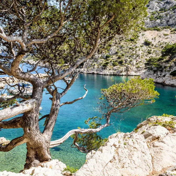 Calanque de Port-Miou & Cassis