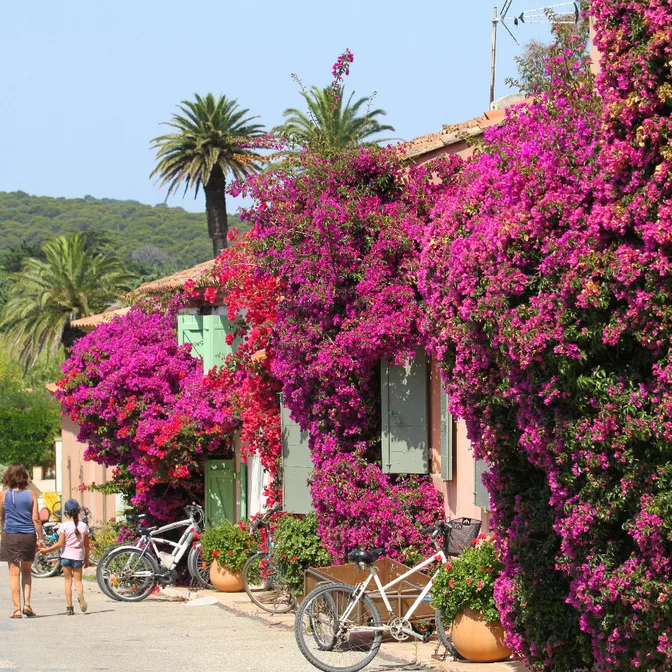 Calanque de Mogiou & Calanque d'En Vau