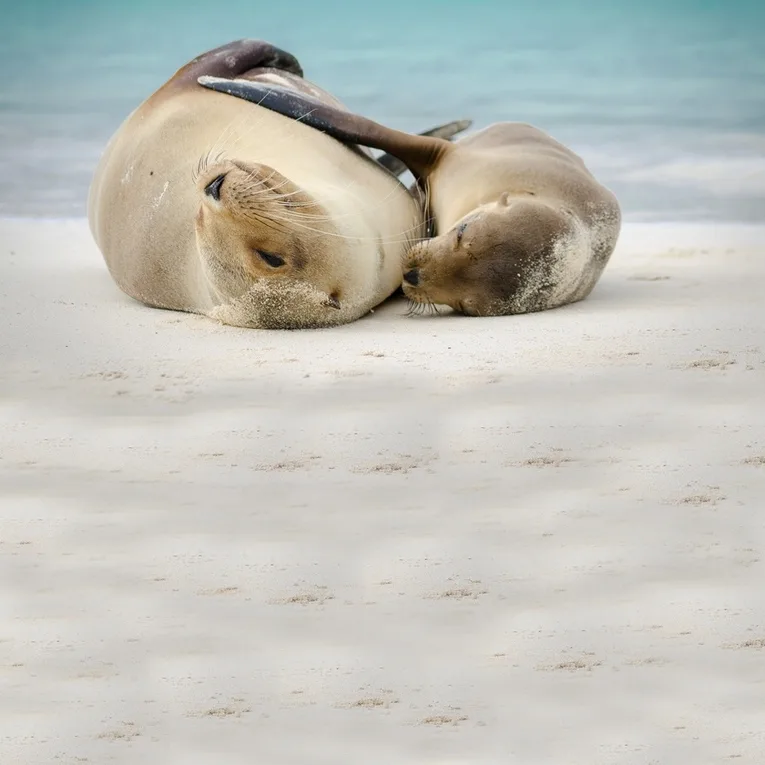 Une Faune et Flore Unique