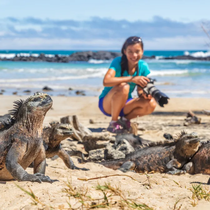 Île Isabela - Punta Vicente Roca et Punta Espinoza