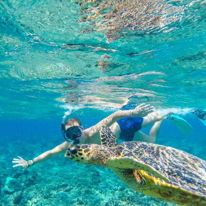 Îles Gili