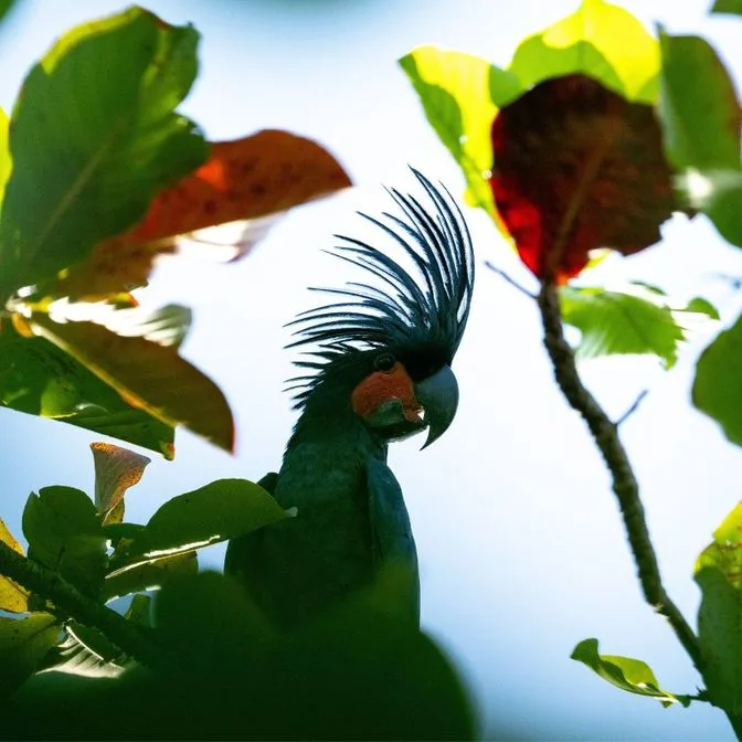 Village de Saporkren