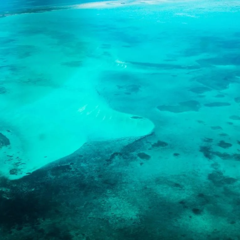 Véritable sanctuaire de la plongée