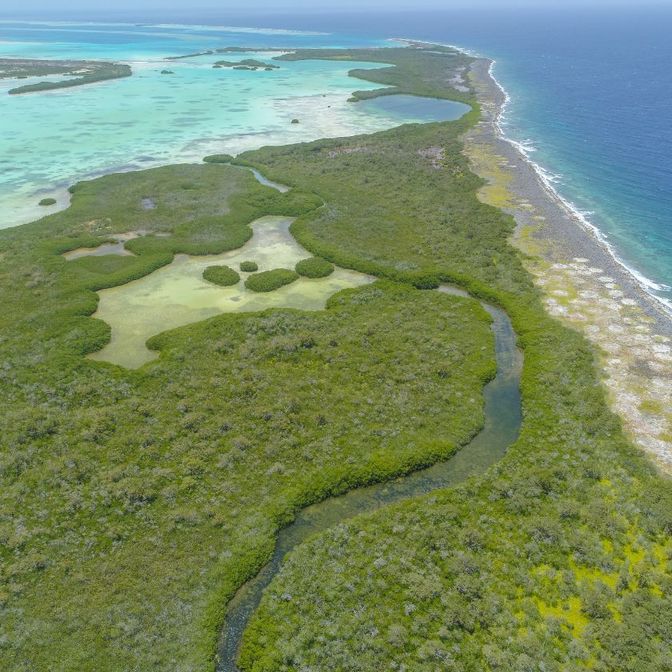 Exploration des mangroves à Espenquí