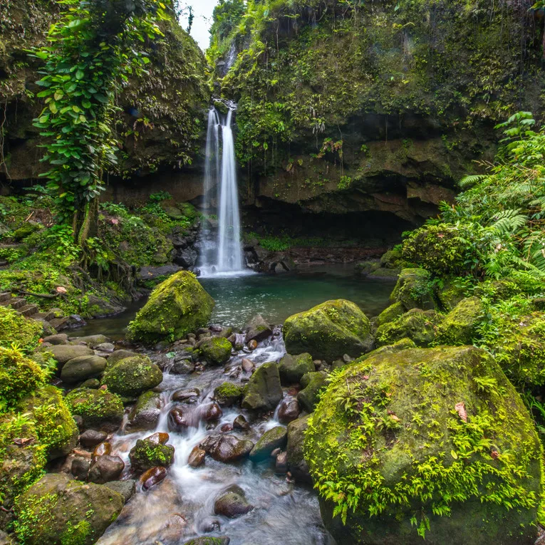 L’île de Dominique
