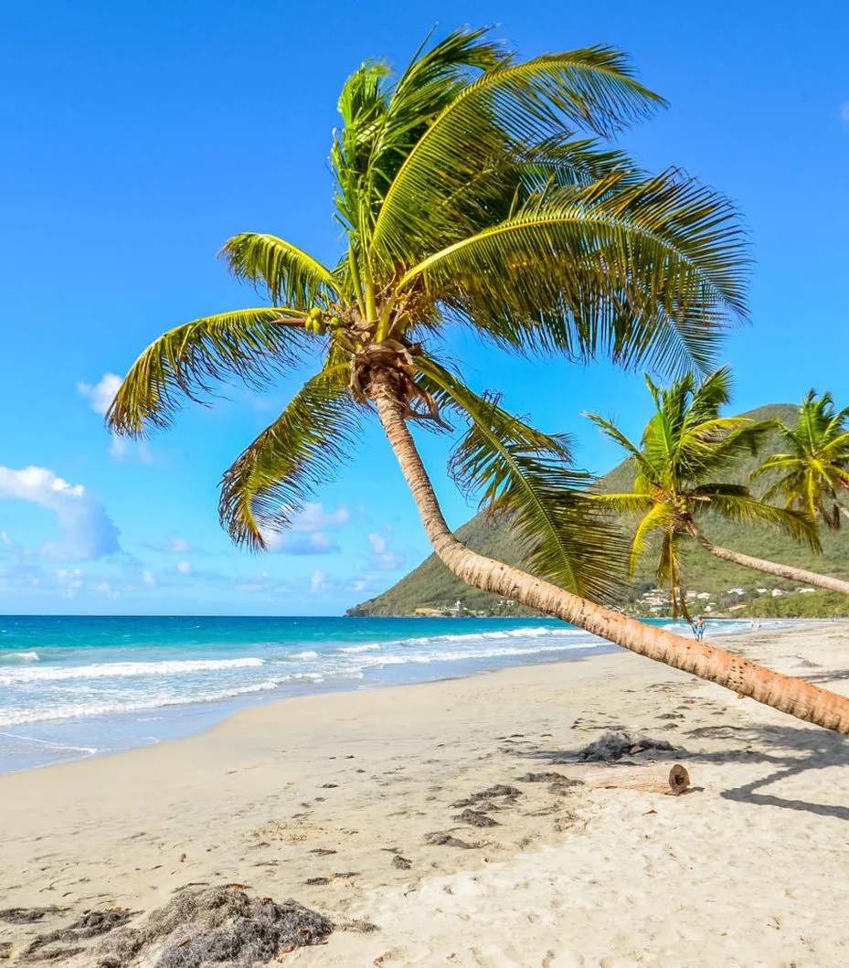 Location de yacht en Martinique et Guadeloupe