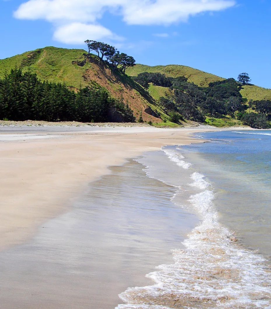 Location de yacht en Nouvelle-Zélande