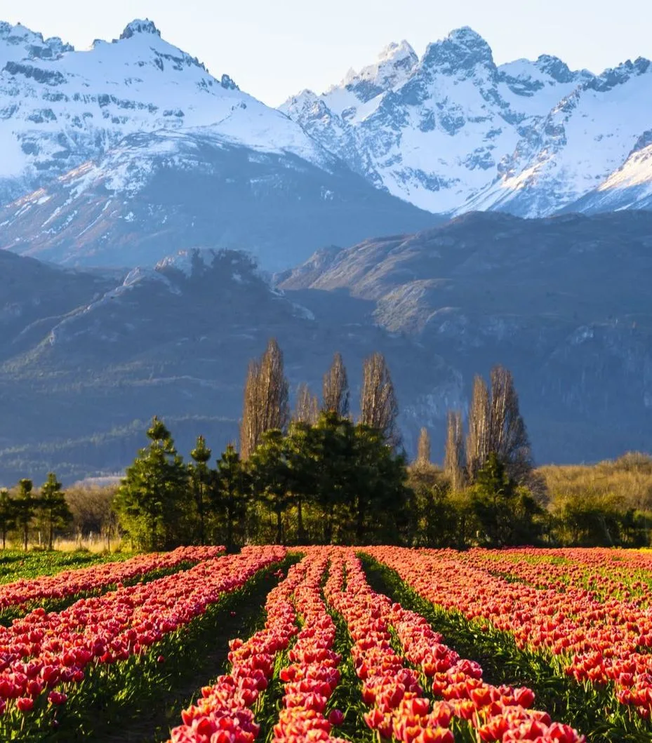 Découvrez une beauté brute comme nulle part ailleurs...