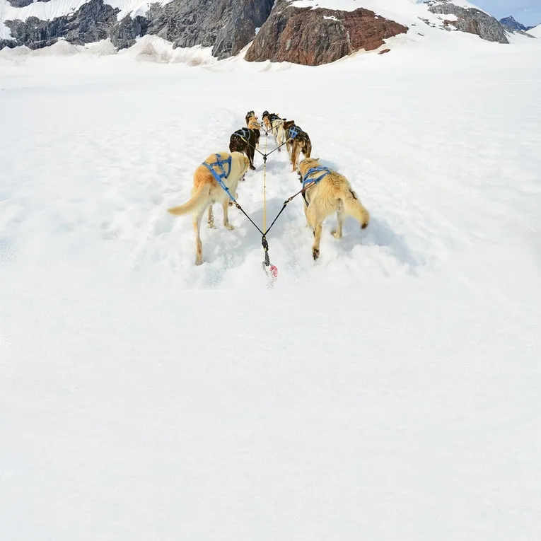 Activités glaciaires