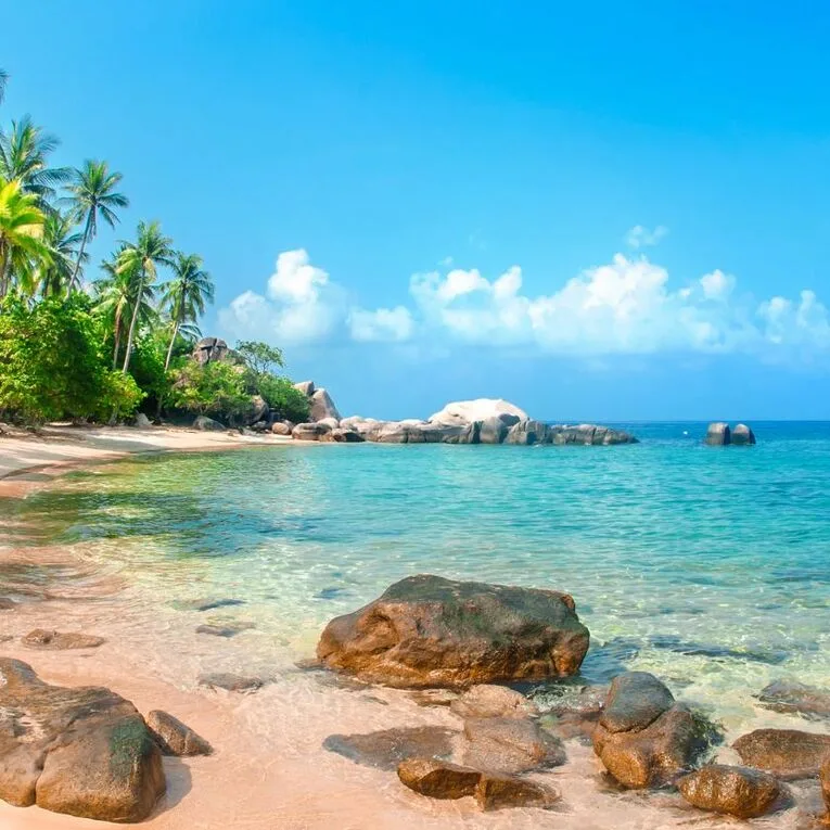 Nature, bien-être et aventure Îles tropicales