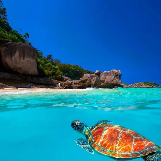 Koh Bon
