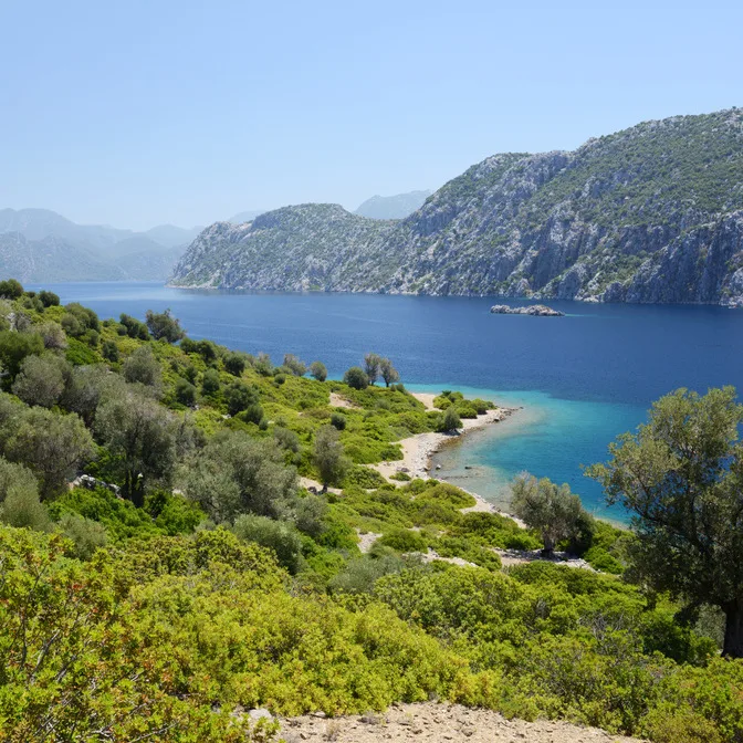 Hisarönü – Pamamutbuku