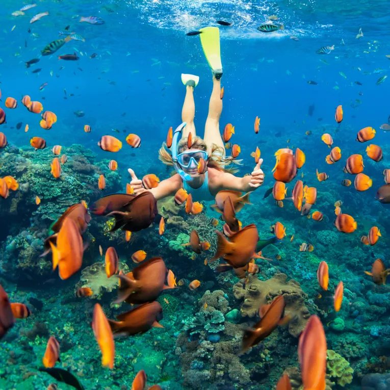 Explorez les récifs