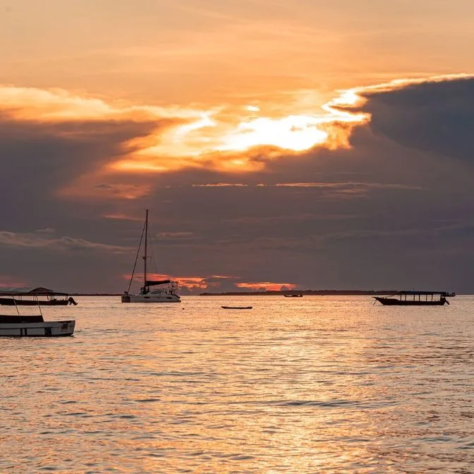 Un Voyage de Luxe à Mnemba Island