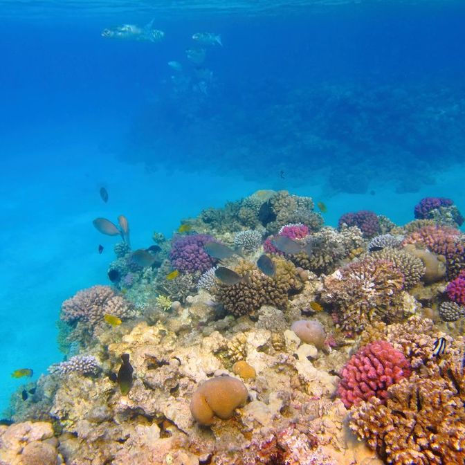 Découvrez les Trésors Cachés de Tumbatu Island