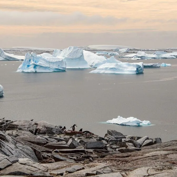 Île Pléneau