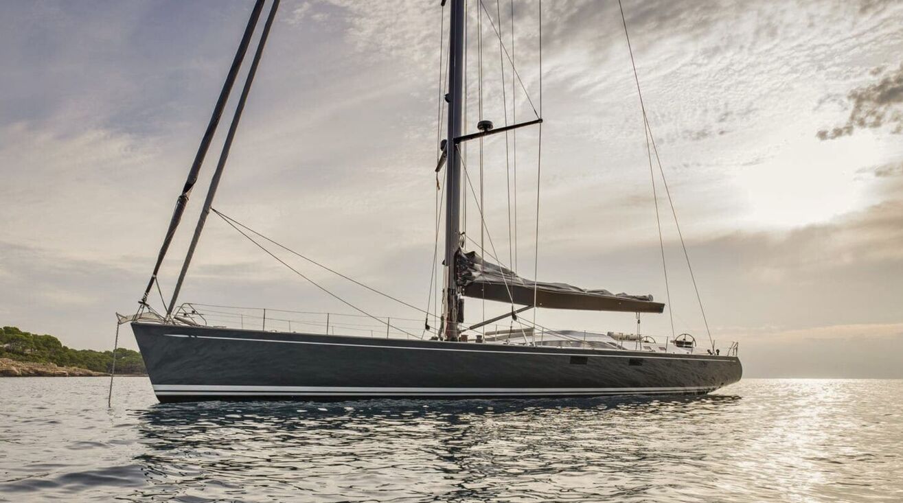 ONYX Swan 100