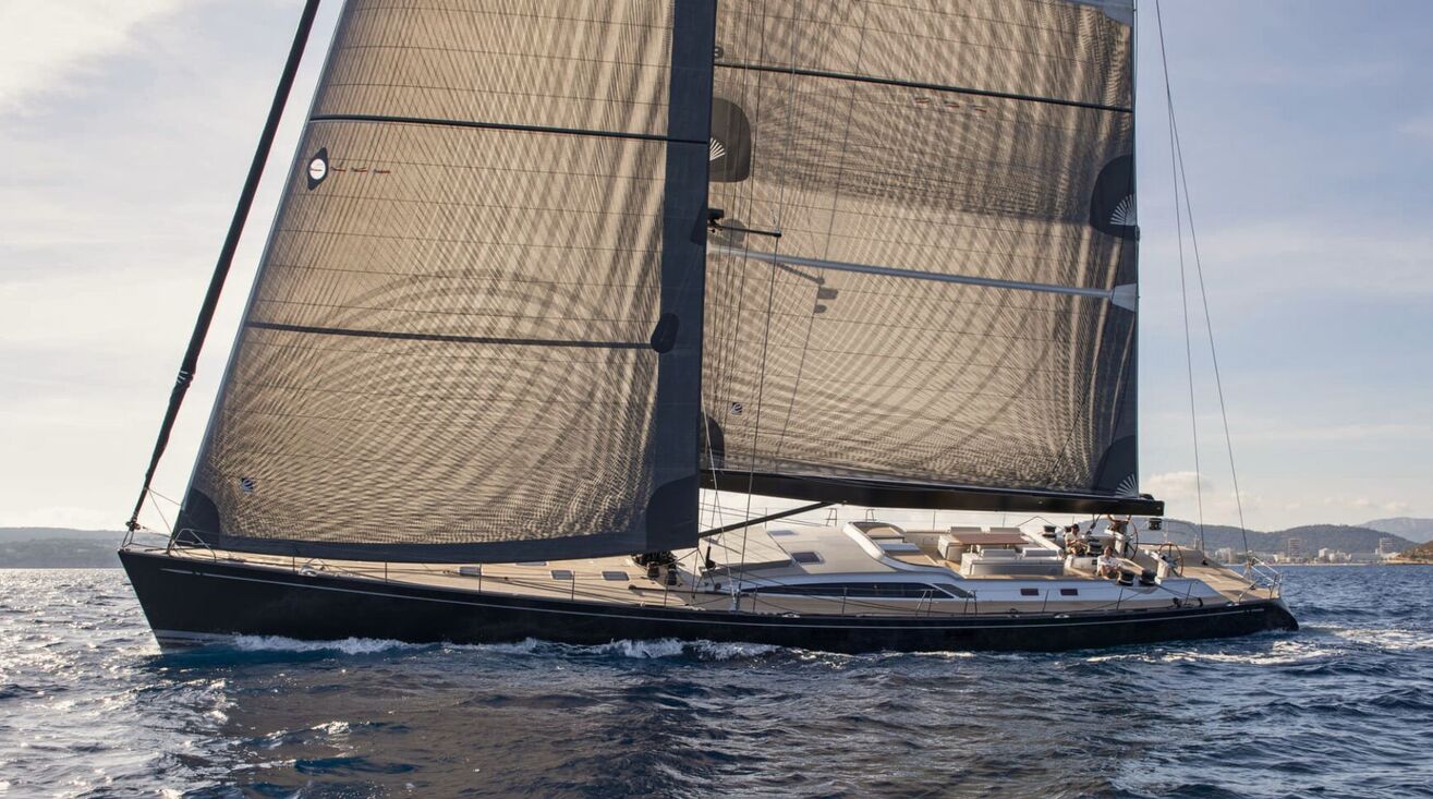 ONYX Swan 100