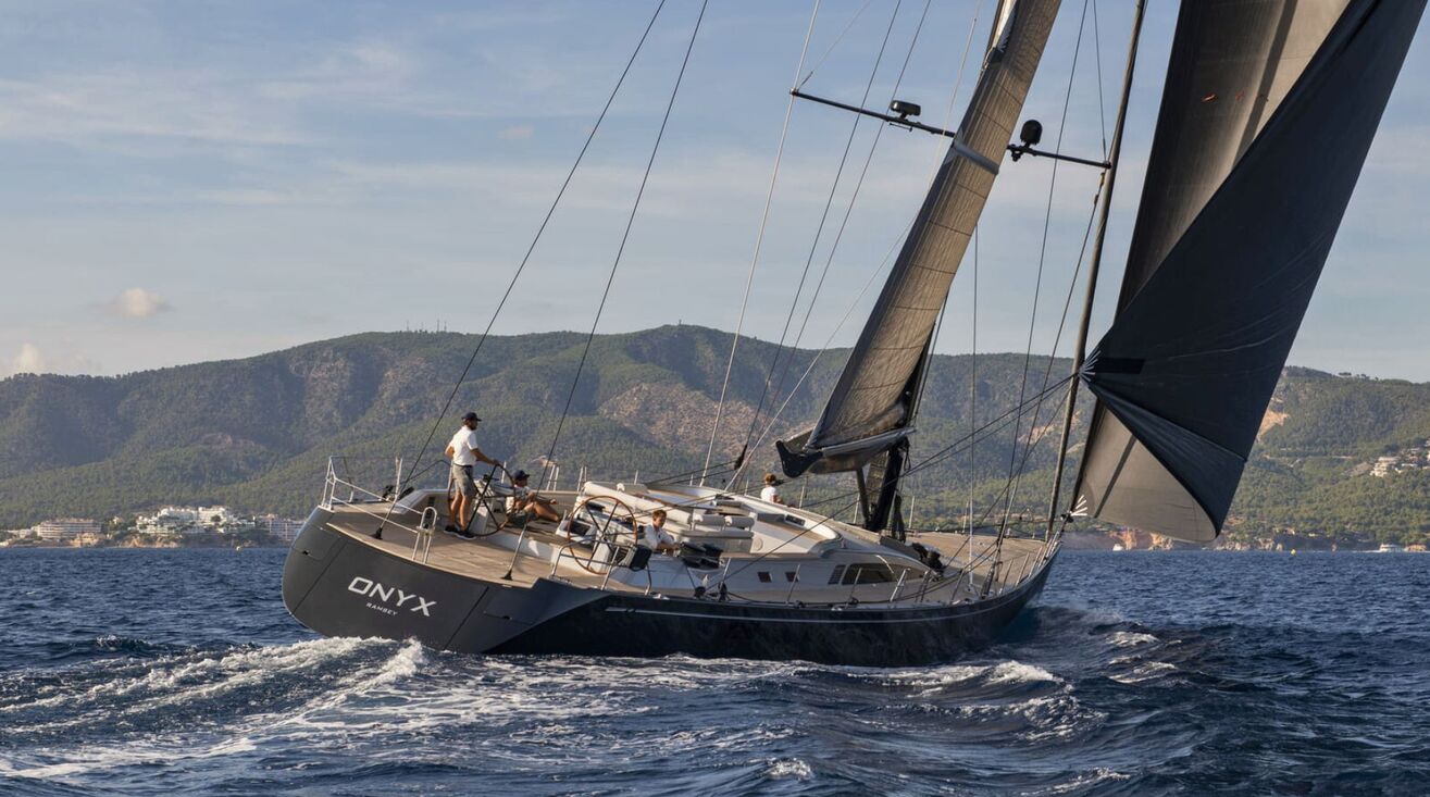 ONYX Swan 100