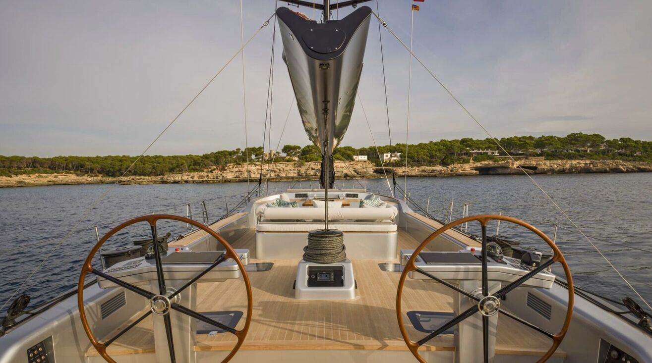 ONYX Swan 100