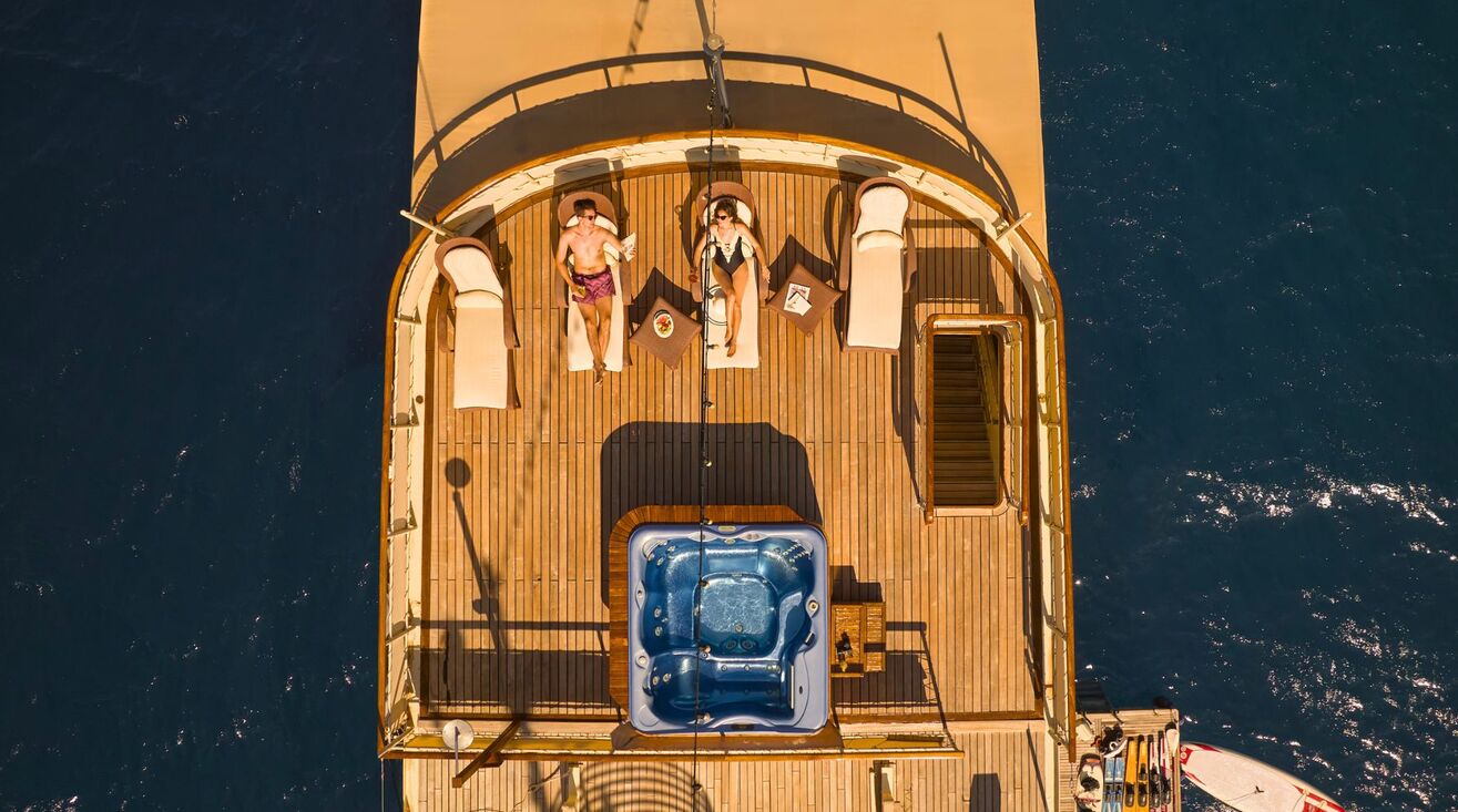 SEAGULL II