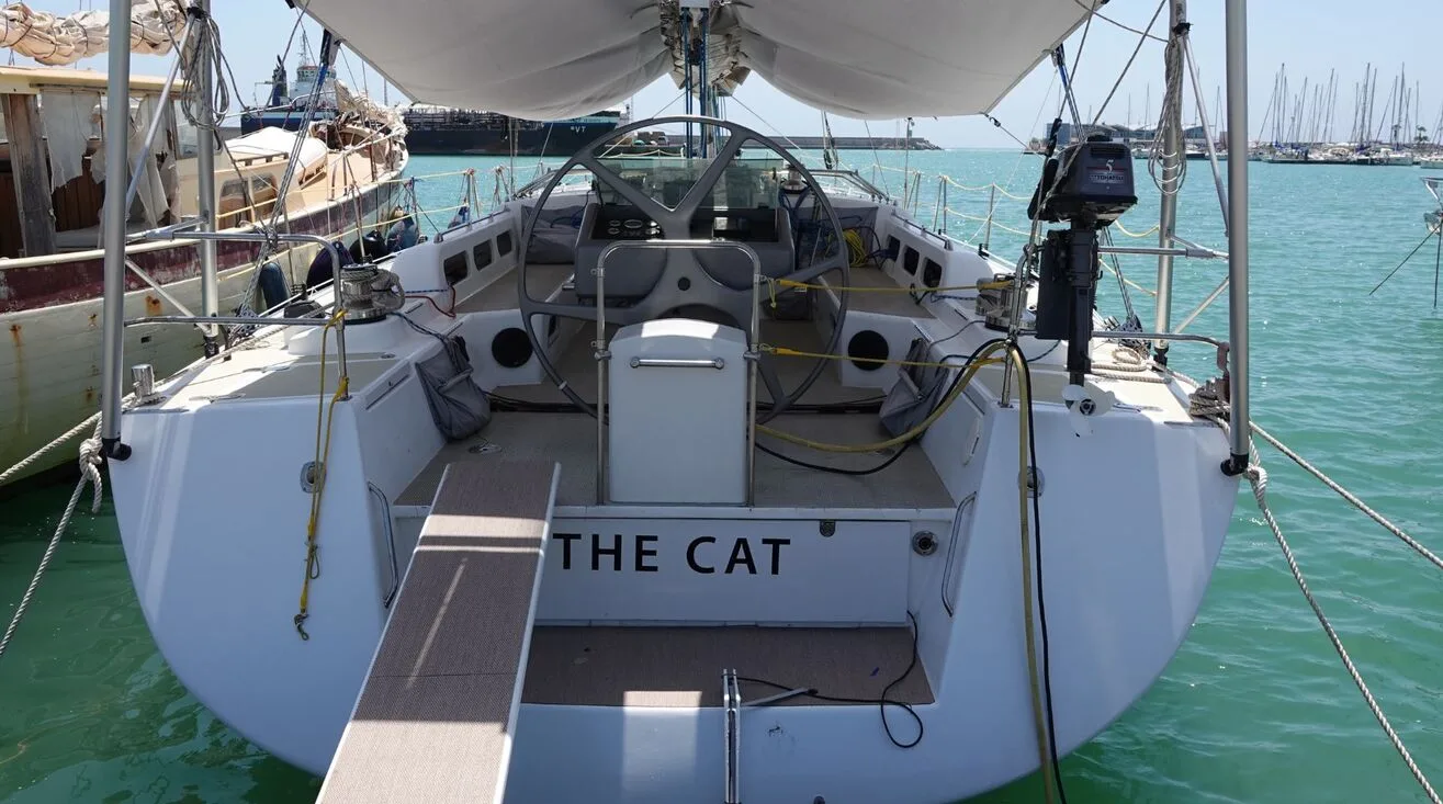 THE CAT